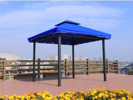 ������ͤ