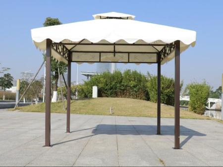 ������ͤ