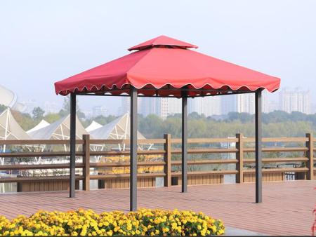 ������ͤ