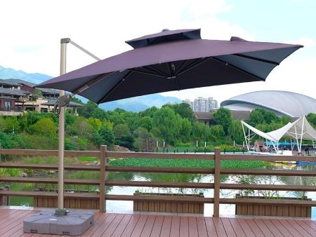 ��������ɡ